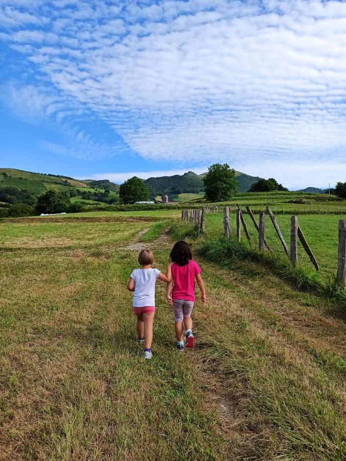 Casa Rural Aldekoa Ziga Luaran gambar